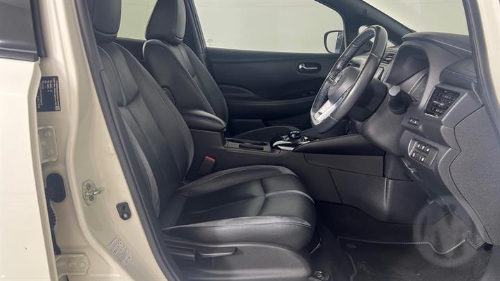 Lazy Owl Image