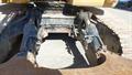 Lazy Owl Image