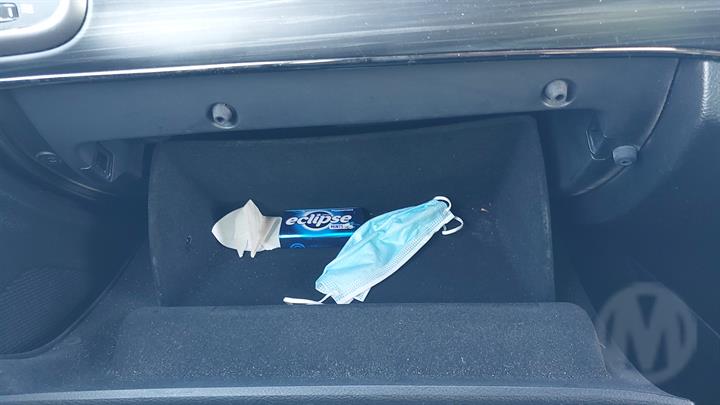 Lazy Owl Image