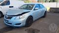 Lazy Owl Image