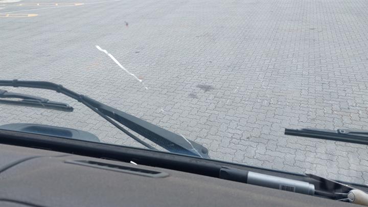 Lazy Owl Image