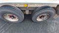Lazy Owl Image