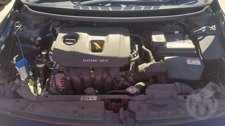 Lazy Owl Image