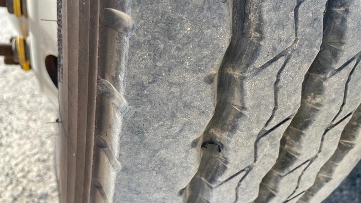 Lazy Owl Image