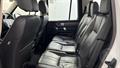 Lazy Owl Image