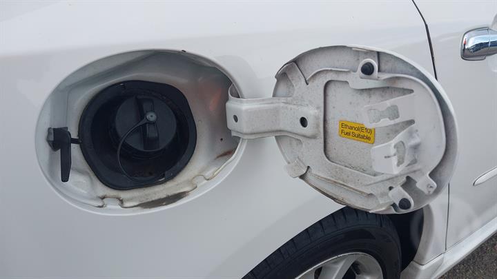 Lazy Owl Image