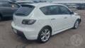 Lazy Owl Image