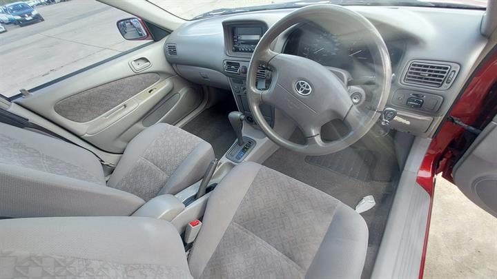 Lazy Owl Image