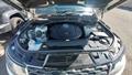 Lazy Owl Image