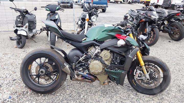 Lazy Owl Image