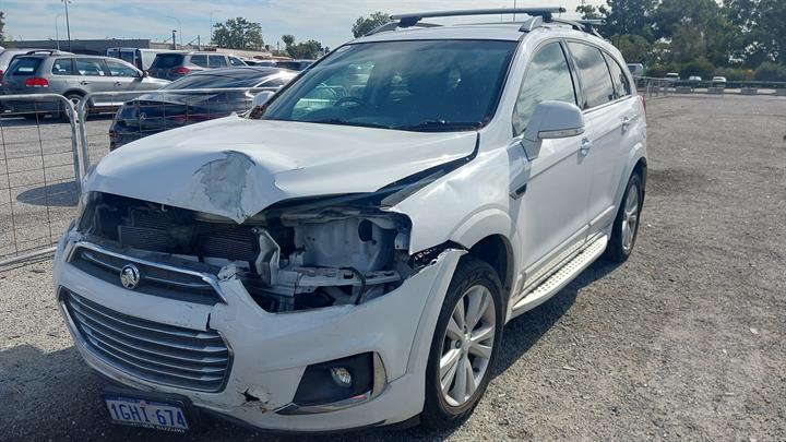 Lazy Owl Image