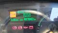 Lazy Owl Image