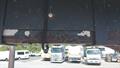 Lazy Owl Image