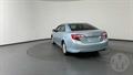 Lazy Owl Image