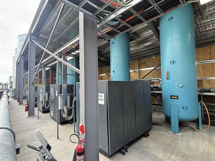 Lazy Owl Image