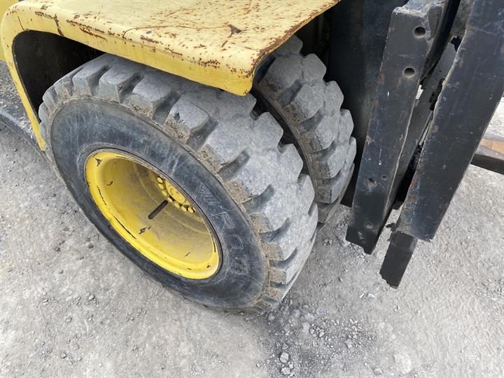Lazy Owl Image