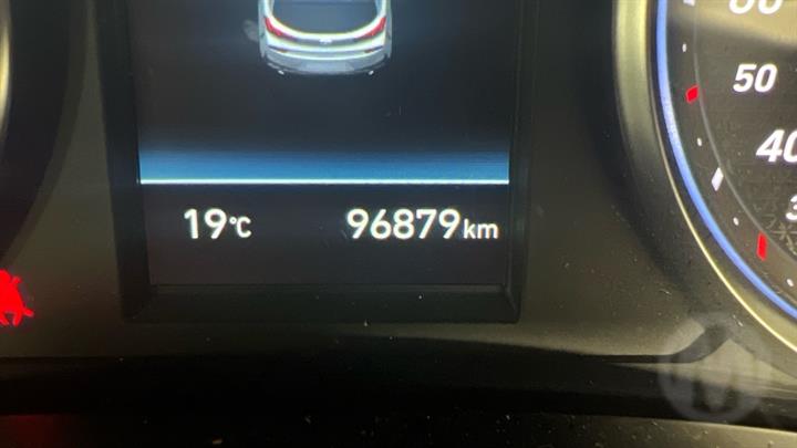 Lazy Owl Image