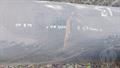 Lazy Owl Image