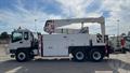 Lazy Owl Image