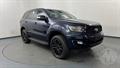 Lazy Owl Image