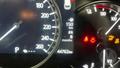 Lazy Owl Image