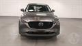 Lazy Owl Image