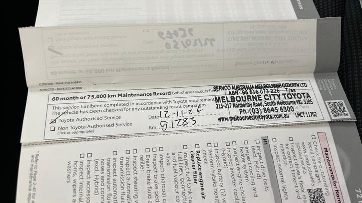 Lazy Owl Image
