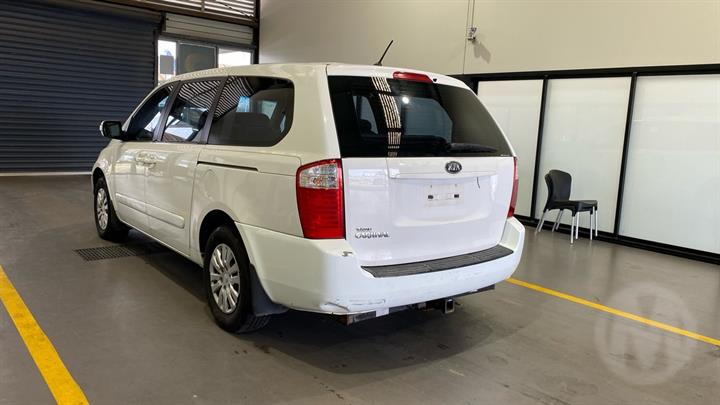 Lazy Owl Image