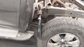 Lazy Owl Image