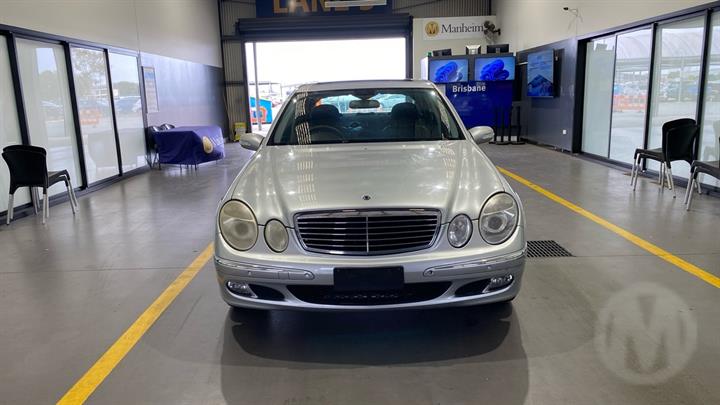 Lazy Owl Image