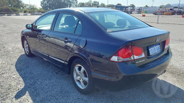 Lazy Owl Image
