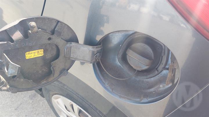Lazy Owl Image