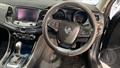 Lazy Owl Image