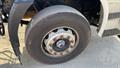 Lazy Owl Image
