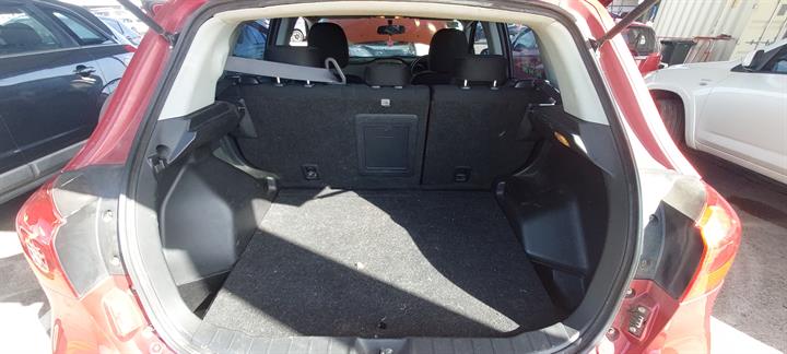 Lazy Owl Image
