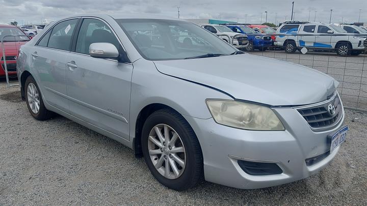 Lazy Owl Image