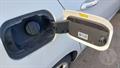 Lazy Owl Image