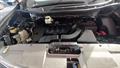 Lazy Owl Image