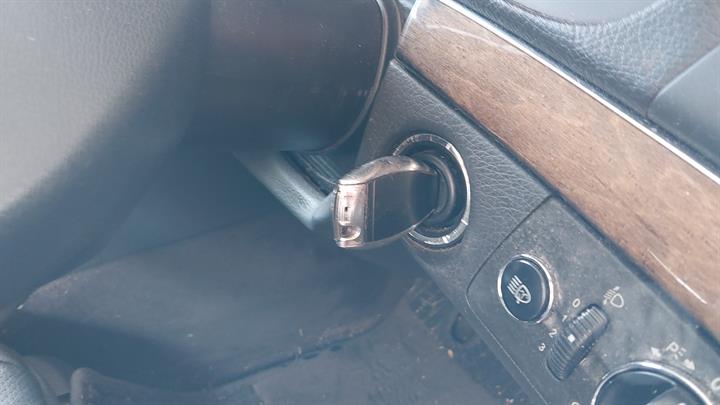 Lazy Owl Image