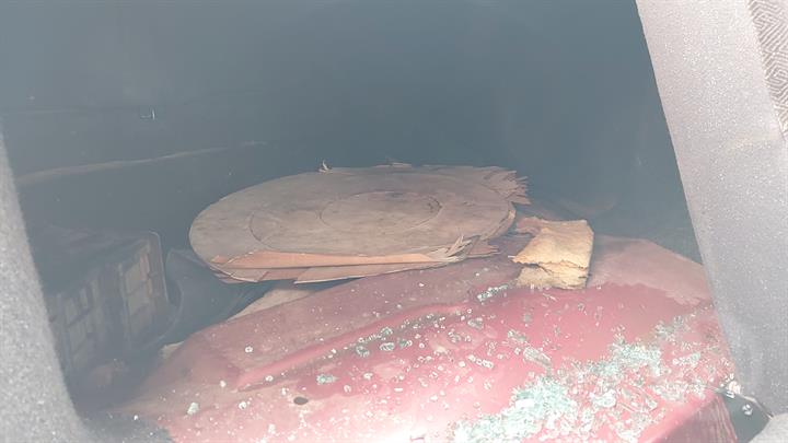 Lazy Owl Image