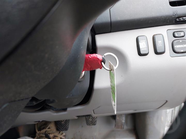 Lazy Owl Image