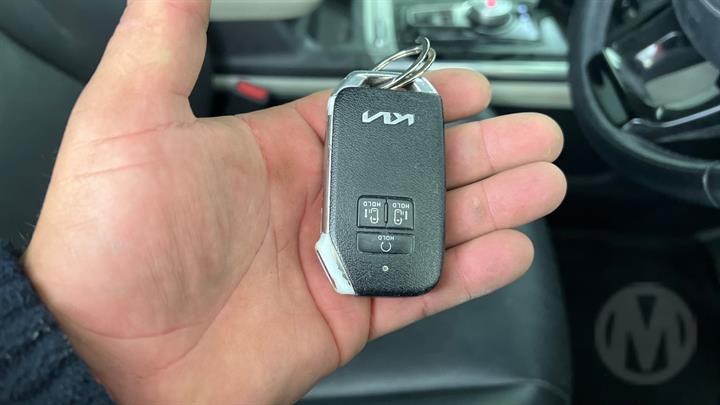 Lazy Owl Image