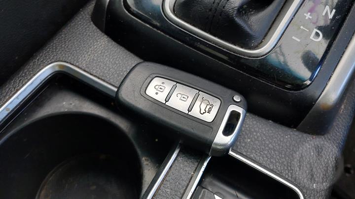 Lazy Owl Image