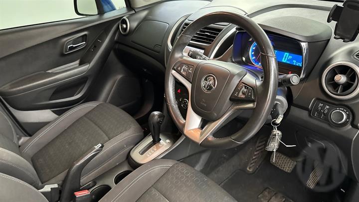 Lazy Owl Image