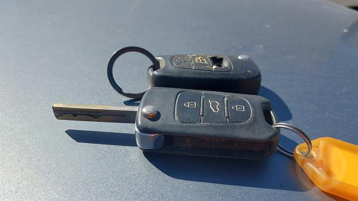 Lazy Owl Image