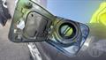 Lazy Owl Image