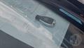 Lazy Owl Image
