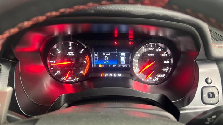 Lazy Owl Image