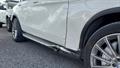 Lazy Owl Image