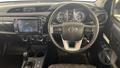 Lazy Owl Image